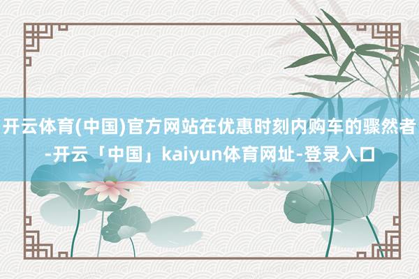 开云体育(中国)官方网站在优惠时刻内购车的骤然者-开云「中国」kaiyun体育网址-登录入口