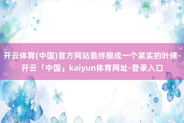 开云体育(中国)官方网站最终酿成一个紧实的叶球-开云「中国」kaiyun体育网址-登录入口
