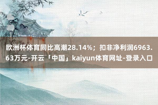 欧洲杯体育同比高潮28.14%；扣非净利润6963.63万元-开云「中国」kaiyun体育网址-登录入口