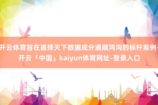 开云体育旨在遴择天下数据成分通顺鸿沟的标杆案例-开云「中国」kaiyun体育网址-登录入口