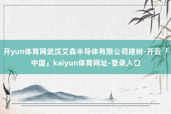 开yun体育网武汉艾森半导体有限公司建树-开云「中国」kaiyun体育网址-登录入口