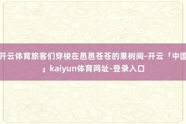 开云体育旅客们穿梭在邑邑苍苍的果树间-开云「中国」kaiyun体育网址-登录入口