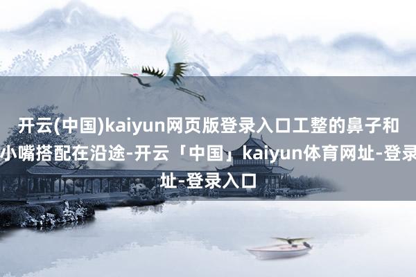 开云(中国)kaiyun网页版登录入口工整的鼻子和樱桃小嘴搭配在沿途-开云「中国」kaiyun体育网址-登录入口