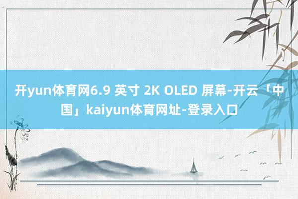 开yun体育网6.9 英寸 2K OLED 屏幕-开云「中国」kaiyun体育网址-登录入口