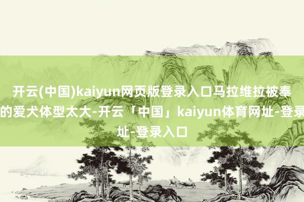 开云(中国)kaiyun网页版登录入口马拉维拉被奉告他的爱犬体型太大-开云「中国」kaiyun体育网址-登录入口