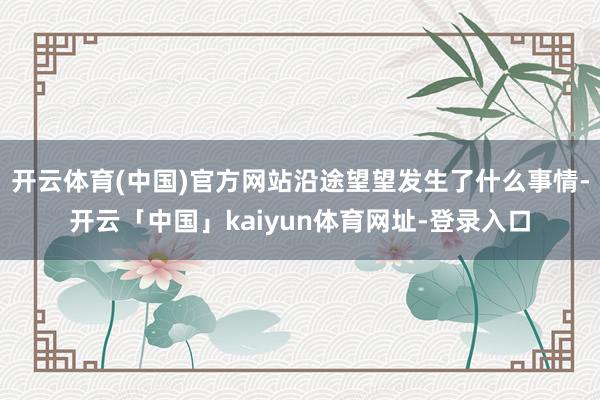 开云体育(中国)官方网站沿途望望发生了什么事情-开云「中国」kaiyun体育网址-登录入口