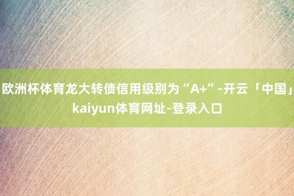 欧洲杯体育龙大转债信用级别为“A+”-开云「中国」kaiyun体育网址-登录入口