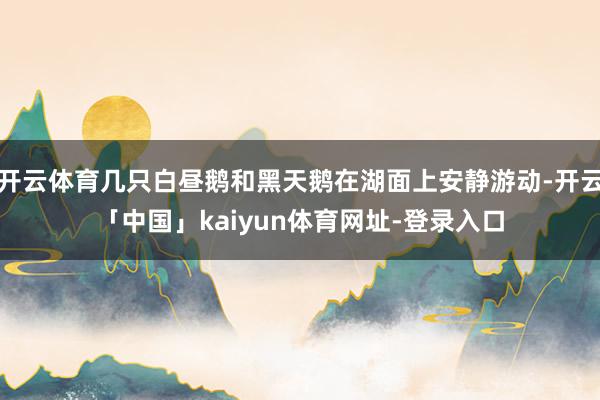 开云体育几只白昼鹅和黑天鹅在湖面上安静游动-开云「中国」kaiyun体育网址-登录入口