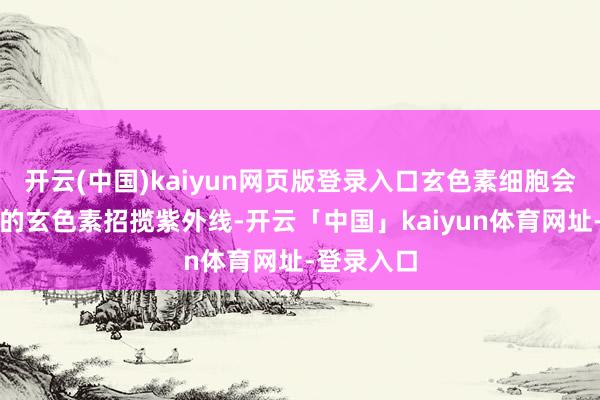 开云(中国)kaiyun网页版登录入口玄色素细胞会生成大批的玄色素招揽紫外线-开云「中国」kaiyun体育网址-登录入口