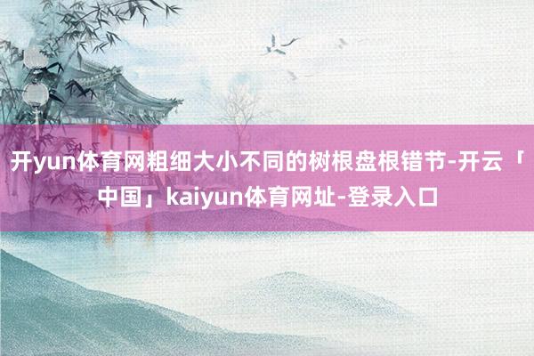开yun体育网粗细大小不同的树根盘根错节-开云「中国」kaiyun体育网址-登录入口