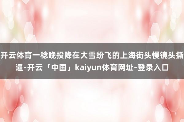 开云体育一稔晚投降在大雪纷飞的上海街头慢镜头撕逼-开云「中国」kaiyun体育网址-登录入口