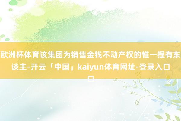欧洲杯体育该集团为销售金钱不动产权的惟一捏有东谈主-开云「中国」kaiyun体育网址-登录入口