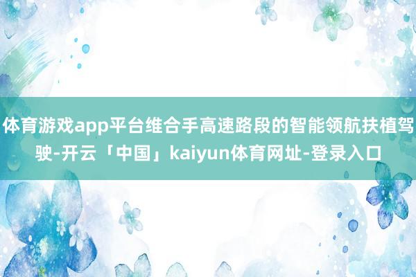 体育游戏app平台维合手高速路段的智能领航扶植驾驶-开云「中国」kaiyun体育网址-登录入口