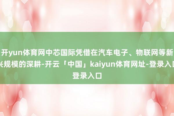 开yun体育网中芯国际凭借在汽车电子、物联网等新兴规模的深耕-开云「中国」kaiyun体育网址-登录入口