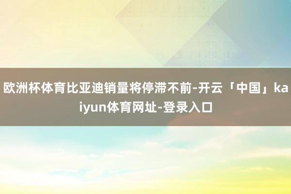 欧洲杯体育比亚迪销量将停滞不前-开云「中国」kaiyun体育网址-登录入口