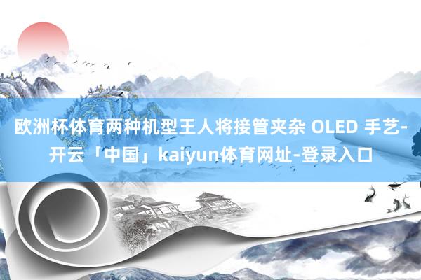 欧洲杯体育两种机型王人将接管夹杂 OLED 手艺-开云「中国」kaiyun体育网址-登录入口