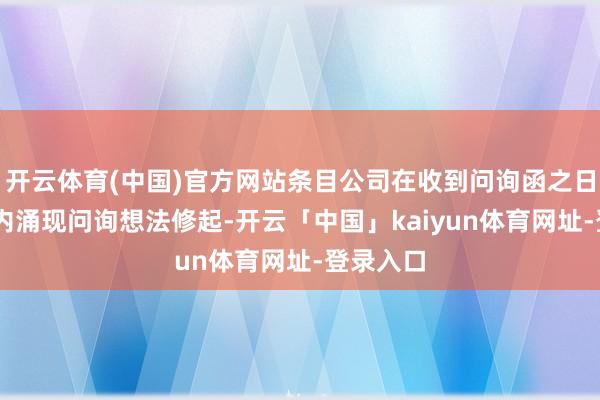 开云体育(中国)官方网站条目公司在收到问询函之日起30日内涌现问询想法修起-开云「中国」kaiyun体育网址-登录入口