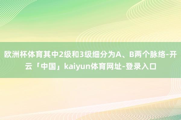 欧洲杯体育其中2级和3级细分为A、B两个脉络-开云「中国」kaiyun体育网址-登录入口