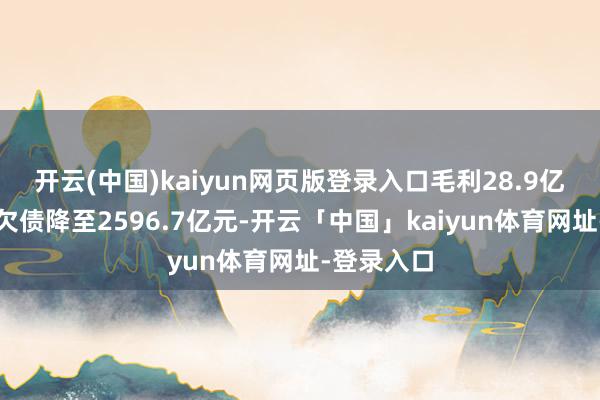 开云(中国)kaiyun网页版登录入口毛利28.9亿元；有息欠债降至2596.7亿元-开云「中国」kaiyun体育网址-登录入口